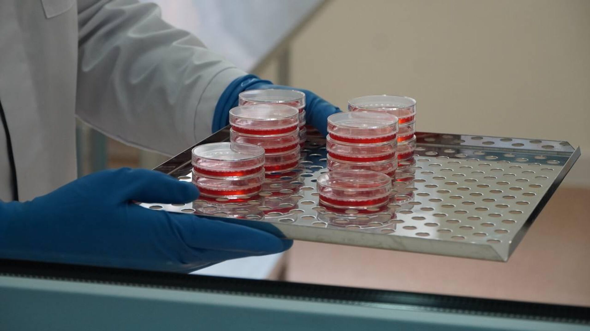 Лаборатория в СОГУ - Sputnik Южная Осетия, 1920, 08.02.2026