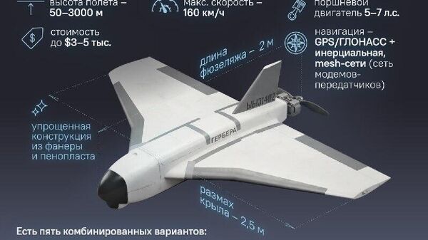 Это еще цветочки - Sputnik Южная Осетия