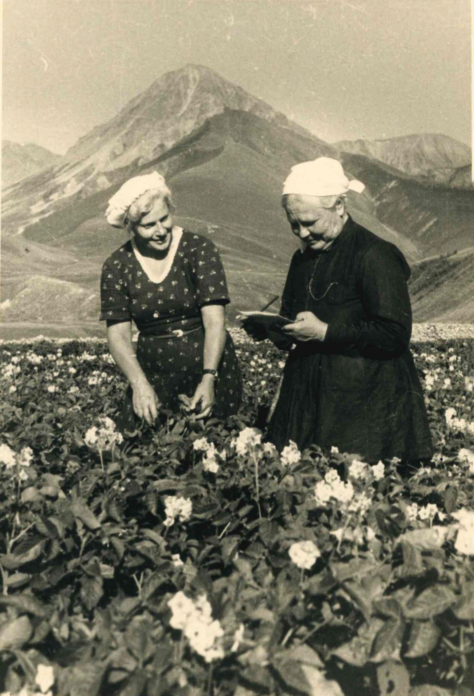 Елизавета Буш - Sputnik Южная Осетия, 1920, 13.02.2026