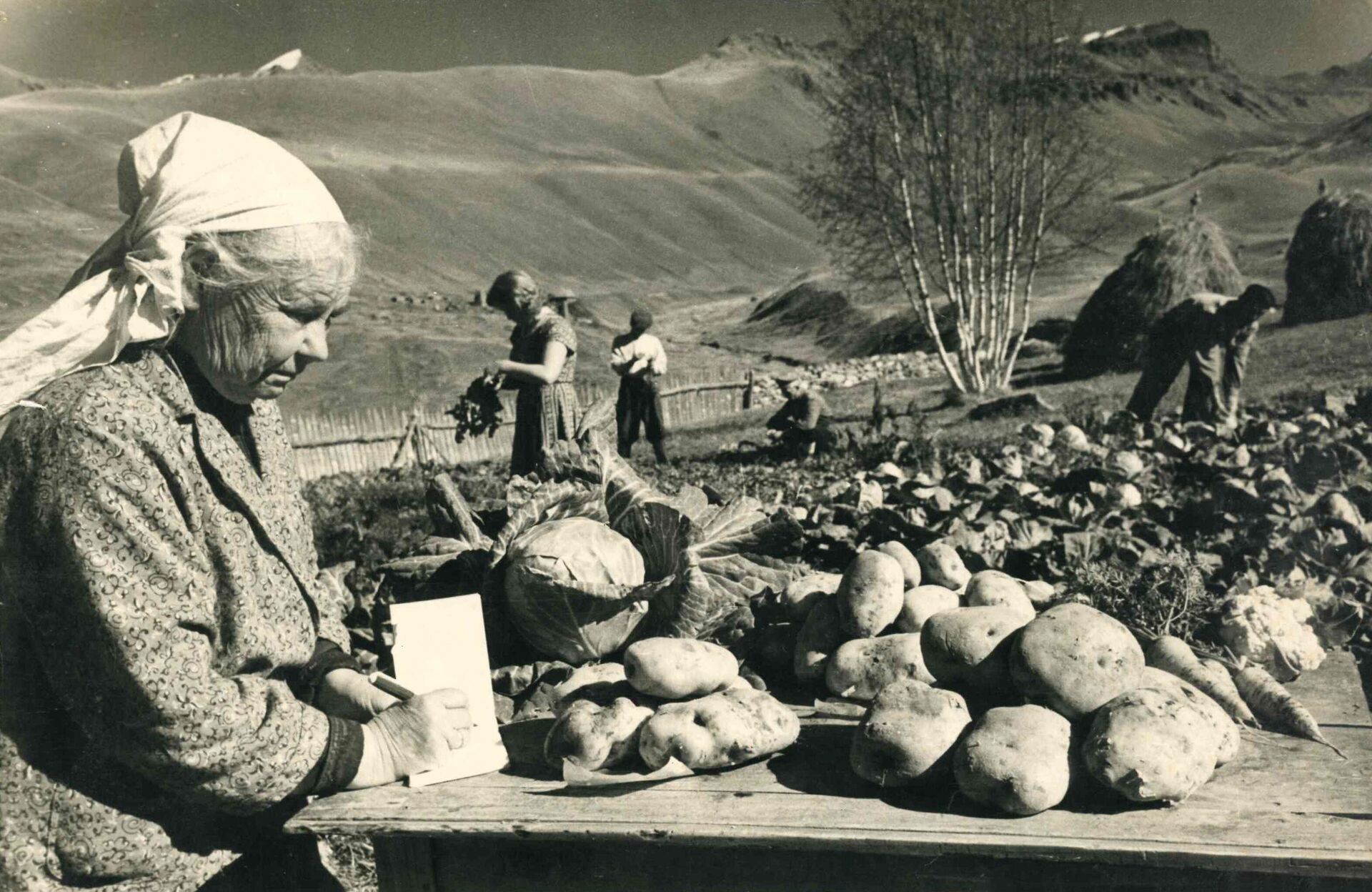 Елизавета Буш - Sputnik Южная Осетия, 1920, 13.02.2026