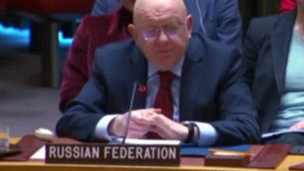 Постпред РФ при ООН назвал себя украинцем - Sputnik Южная Осетия