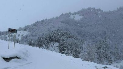 Снег на Транскаме 