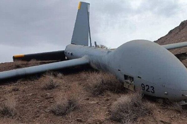 Иран сбил израильский беспилотник Hermes 900, утверждает КСИР - Sputnik Южная Осетия