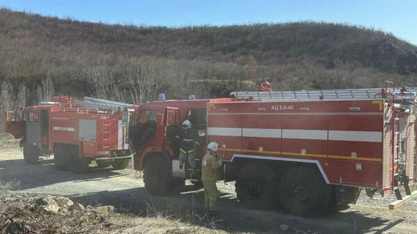 Пожарные Южной Осетии отработали действия по ликвидации условного природного пожара - Sputnik Южная Осетия