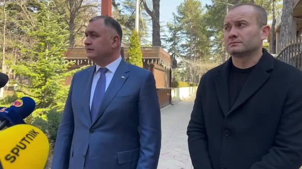 Озеленение и зоны для молодежи: в Цхинвале благоустроят Пионерский парк - Sputnik Южная Осетия