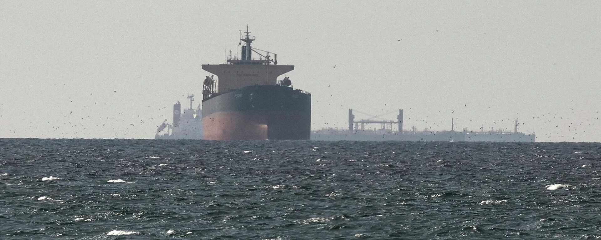 Грузовые суда в Персидском заливе. Архивное фото  - Sputnik Южная Осетия, 1920, 23.03.2026