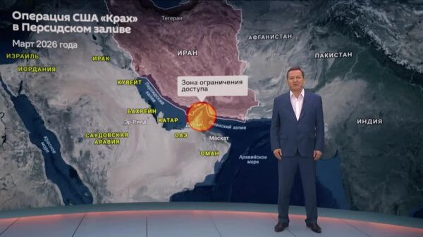 Это не остров Эпштейна - Sputnik Южная Осетия