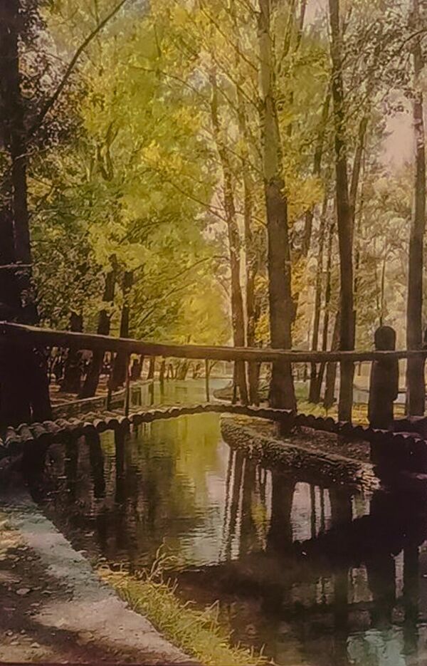 Парк культуры и отдыха имени Ленина - Sputnik Южная Осетия