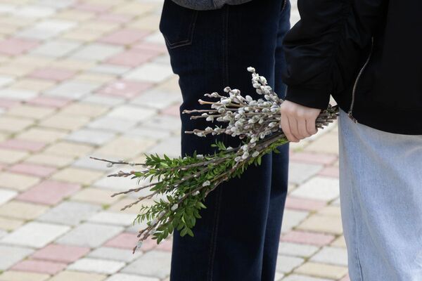 Вербное воскресенье Вербное воскресенье - Sputnik Южная Осетия