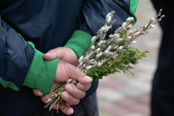 Вербное воскресенье Вербное воскресенье - Sputnik Южная Осетия