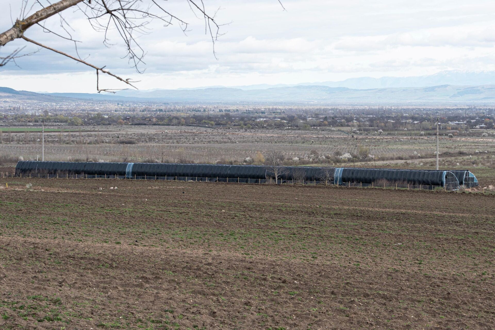 Теплица - Sputnik Южная Осетия, 1920, 07.04.2026