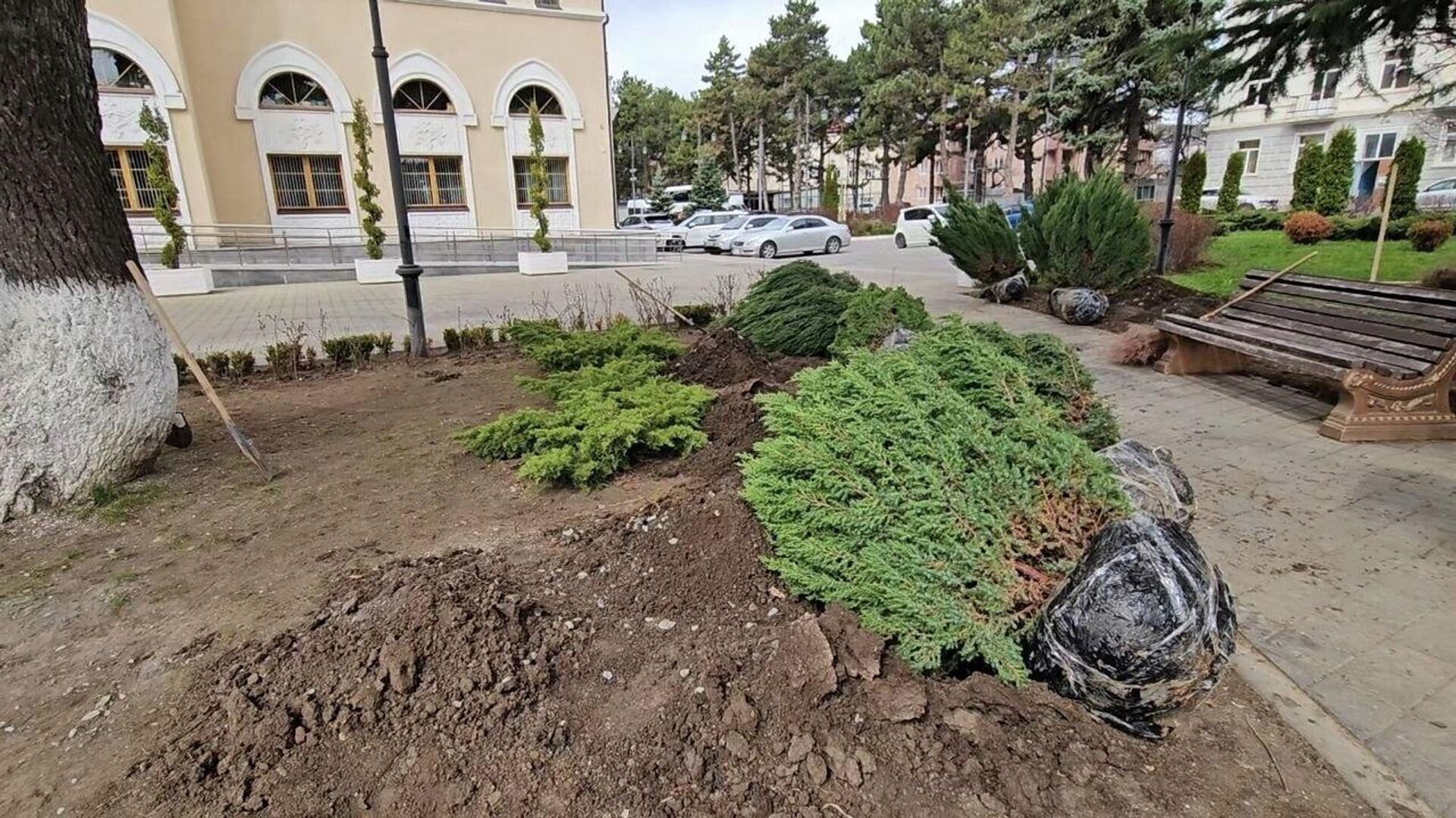 Высадка деревьев в Цхинвале - Sputnik Южная Осетия, 1920, 08.04.2026