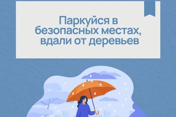 МЧС предупредило о рисках ЧС в Северной Осетии из-за ливней и штормового ветра МЧС предупредило о рисках ЧС в Северной Осетии из-за ливней и штормового ветра - Sputnik Южная Осетия