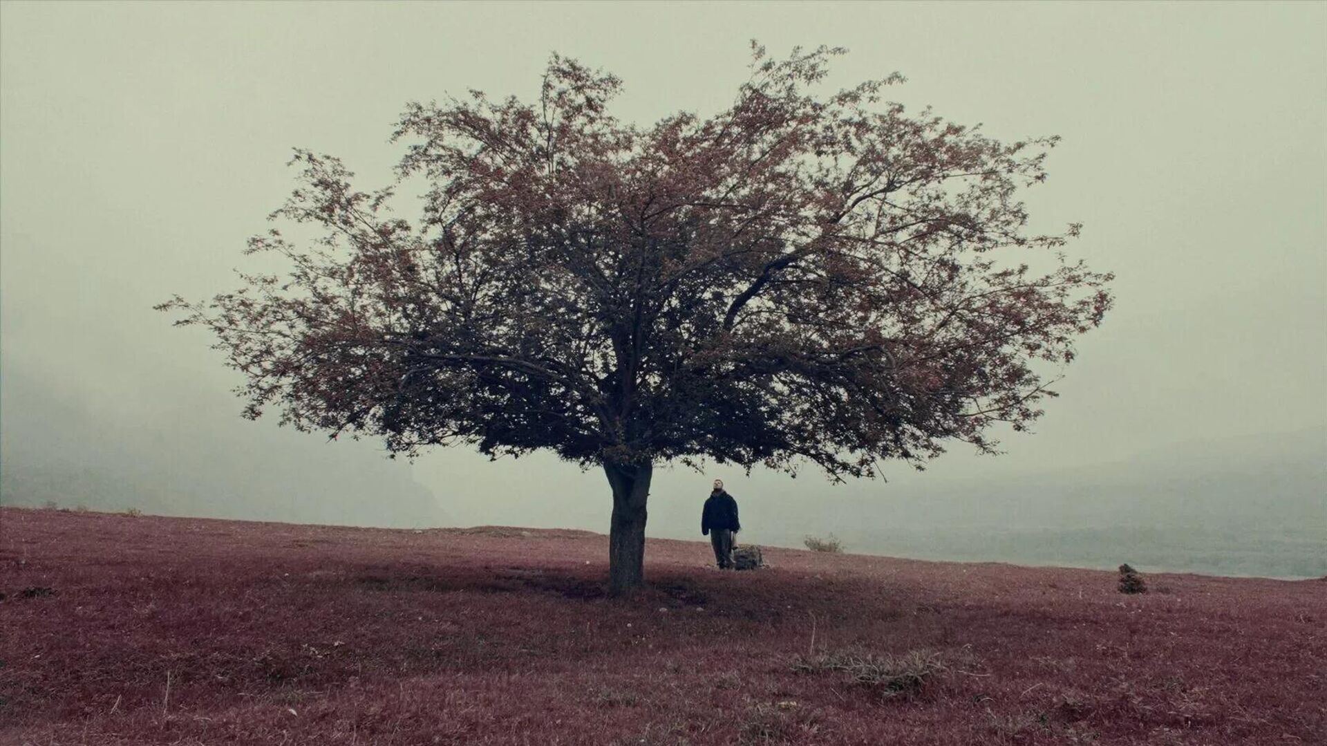 Кадры из фильма Там, где наш дом - Sputnik Южная Осетия, 1920, 21.04.2026