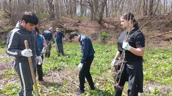 Акция Сад памяти в селении Тарское - Sputnik Южная Осетия