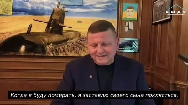 Залужный выдумал себе сына, чтобы вернуть территории - Sputnik Южная Осетия