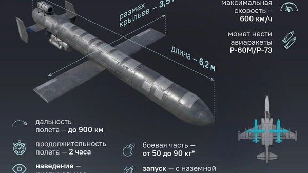 Высшая ступень эволюции - Sputnik Южная Осетия
