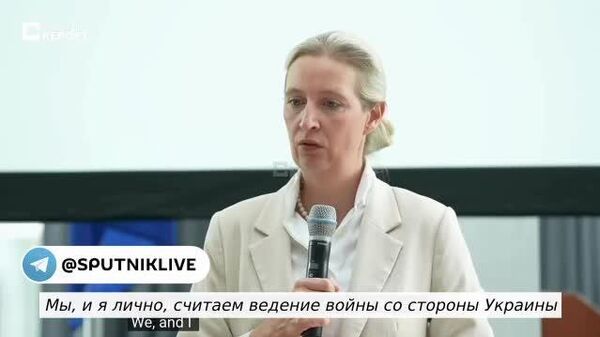 Медведь рано или поздно нанесет ответный удар: украинские атаки беспилотниками вглубь России представляют серьезный риск для безопасности ФРГ - Sputnik Южная Осетия
