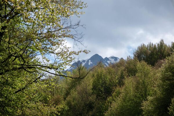 Горы Южной Осетии - Sputnik Южная Осетия
