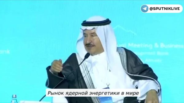 Более 90% мирового рынка ядерной энергетики принадлежит России, заявил шейх Ибрагим бин Халифа аль-Халифа - Sputnik Южная Осетия