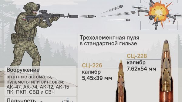 Тройной удар по тварям жужжащим - Sputnik Южная Осетия