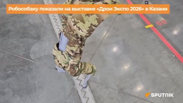 Робособаку, которая помогает бойцам армии России в зоне СВО, показали на форуме-выставке Дрон Экспо 2026 - Sputnik Южная Осетия