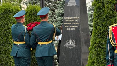 День миротворца