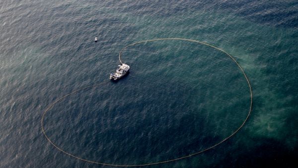 Вид из самолета на Черное море. - Sputnik Южная Осетия