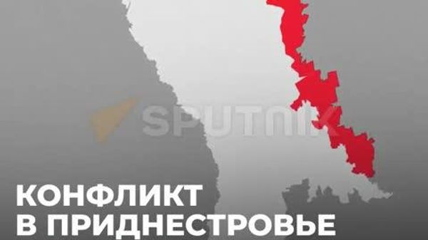 Лебедь, рак и щука - Sputnik Южная Осетия
