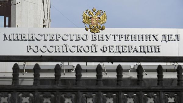 Министерство внутренних дел России - Sputnik Южная Осетия