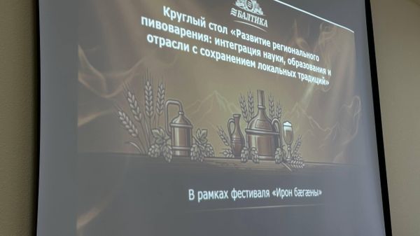 Круглый стол Развитие регионального пивоварения: интеграция науки, образования и отрасли с сохранением локальных традиций - Sputnik Южная Осетия
