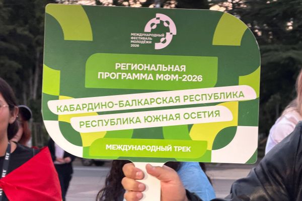 Участники Международного фестиваля молодежи из более 10 стран приехали в Южную Осетию в рамках региональной программы фестиваля ВФМ - Sputnik Южная Осетия