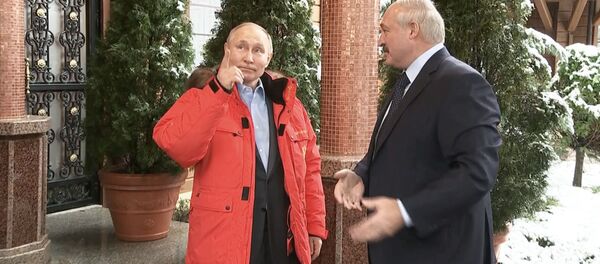 И везет же вам, и снега море: Лукашенко приехал к Путину в Сочи И везет же вам, и снега море: Лукашенко приехал к Путину в Сочи - Sputnik Южная Осетия