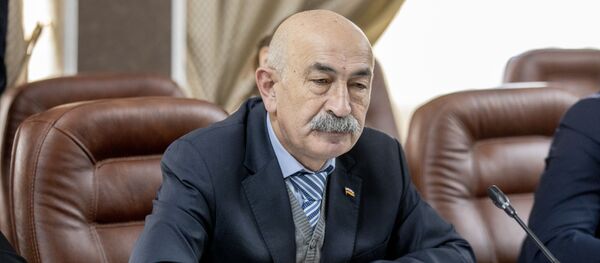 Встреча представителей власти Южной Осетии с сопредседателями Женевских дискуссий Встреча представителей власти Южной Осетии с сопредседателями Женевских дискуссий - Sputnik Южная Осетия