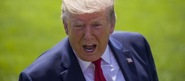 Президент Дональд Трамп Президент Дональд Трамп - Sputnik Южная Осетия