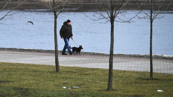 Мужчина гуляет с собакой по территории Московского музея-заповедника Коломенское - Sputnik Южная Осетия