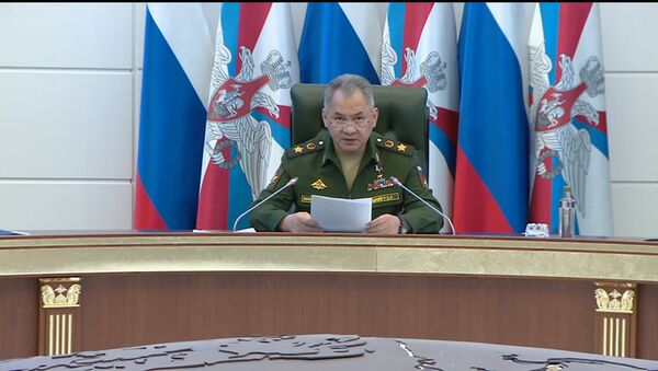 Сергей Шойгу объявил о формировании новой дивизии ПВО в Арктике - Sputnik Южная Осетия