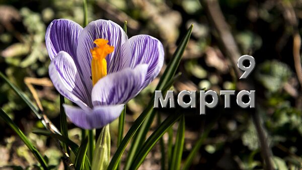 День 9 марта - Sputnik Южная Осетия