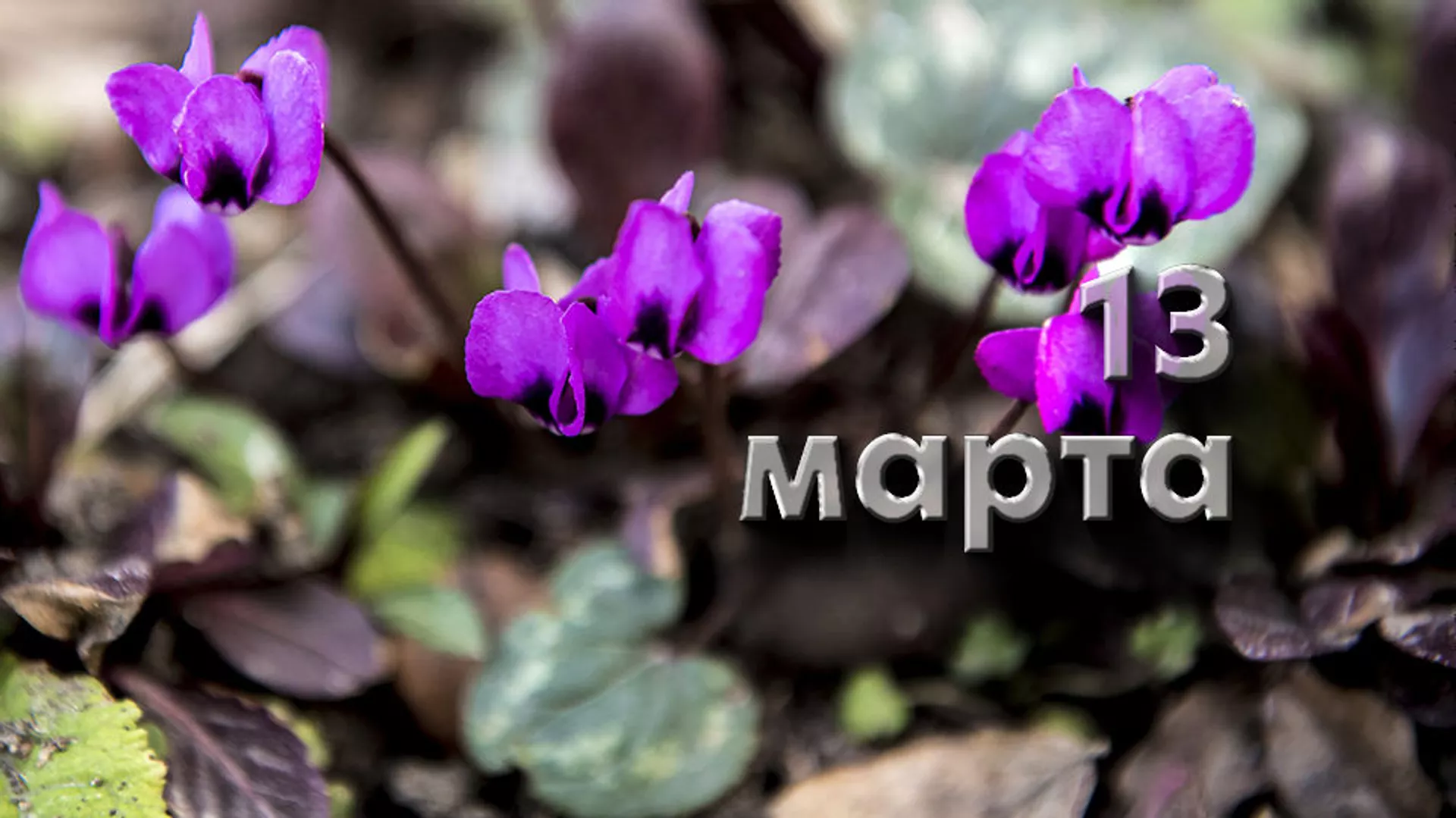 День 13 марта