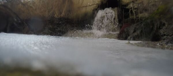 Ӕнахуыр фынк æмæ æвзæр тæф: экологтæ фæдис кæнынц Леуахийы тыххæй - Sputnik Хуссар Ирыстон