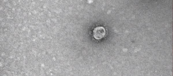 Российские ученые показали, как выглядит коронавирус — видео Российские ученые показали, как выглядит коронавирус — видео - Sputnik Южная Осетия