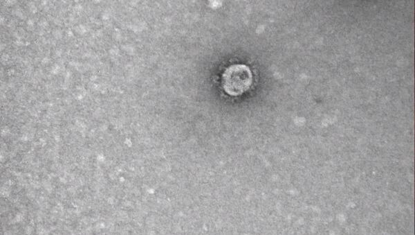 Российские ученые показали, как выглядит коронавирус — видео - Sputnik Южная Осетия