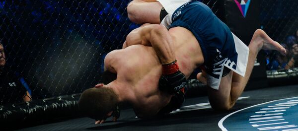 Смешанные единоборства. Смешанные единоборства. - Sputnik Южная Осетия