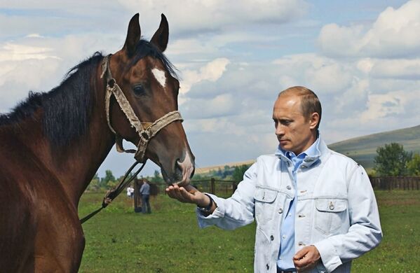 Президент РФ Владимир Путин во время краткосрочного отпуска в Алтайском крае посетил конеферму, на которой выращивают рабочих и племенных лошадей.  - Sputnik Южная Осетия