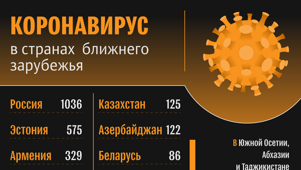Коронавирус. Данные на 27 марта 12:00 - Sputnik Южная Осетия