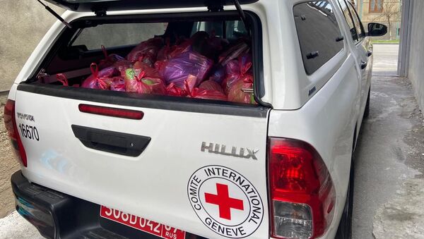 Красный Крест оказал гуманитарную помощь заключенным в Южной Осетии - Sputnik Южная Осетия