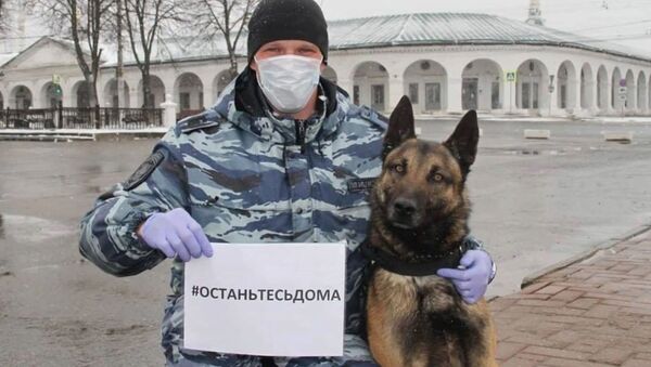 Российские экстренные службы поддержали флешмоб #StayHome - Sputnik Южная Осетия