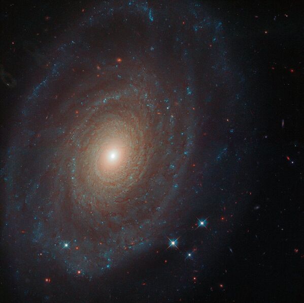 Телескоп Хаббл зафиксировал космическую спираль под кодовым названием NGC 691, находящуюся на расстоянии 120 миллионов световых лет от Земли.

Этот объект двести лет назад обнаружил известный ученый Уильям Гершель. - Sputnik Южная Осетия