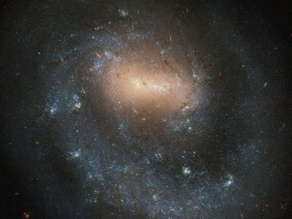 Всего за год до открытия того, что изображено на этом фото, Гершель предположил, что туманные объекты, которые астрономы видели в ночном небе, были, скорее всего, большими звездными скоплениями, расположенными намного дальше, чем отдельные звезды, которые он легко мог различить.

Позже астрономы поняли, что Гершель видит галактику. На фото — спиральная галактика NGC 4618. - Sputnik Южная Осетия