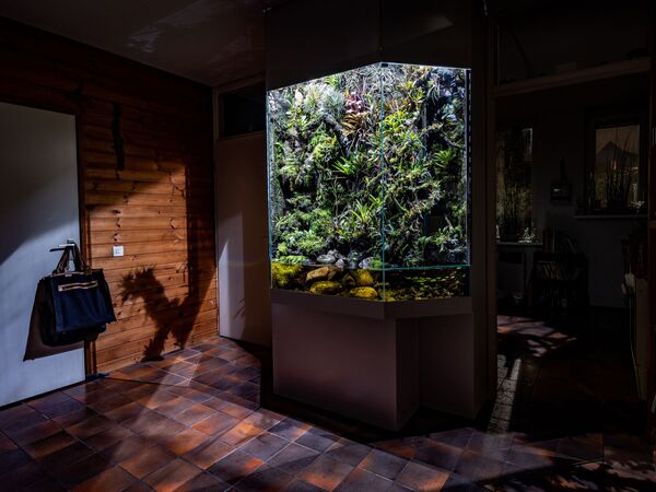 Снимок Parallel universe нидерландского фотографа Jorrit 't Hoen, вошедший в шорт-лист конкурса ZEISS Photography Award 2020 - Sputnik Южная Осетия